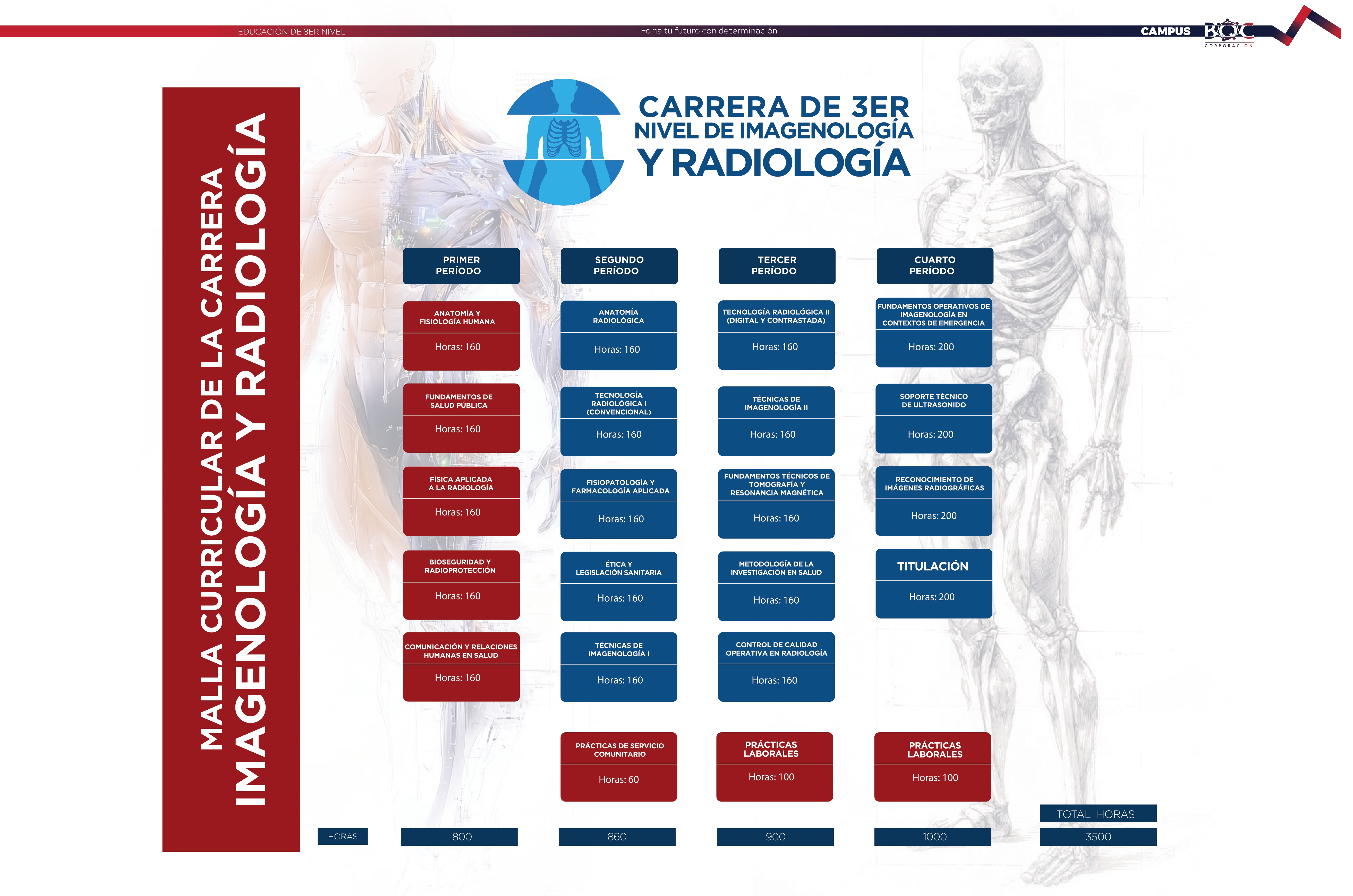 Malla Curricular Imagenología